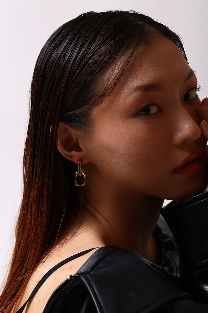 Dual Tone Link Earrings